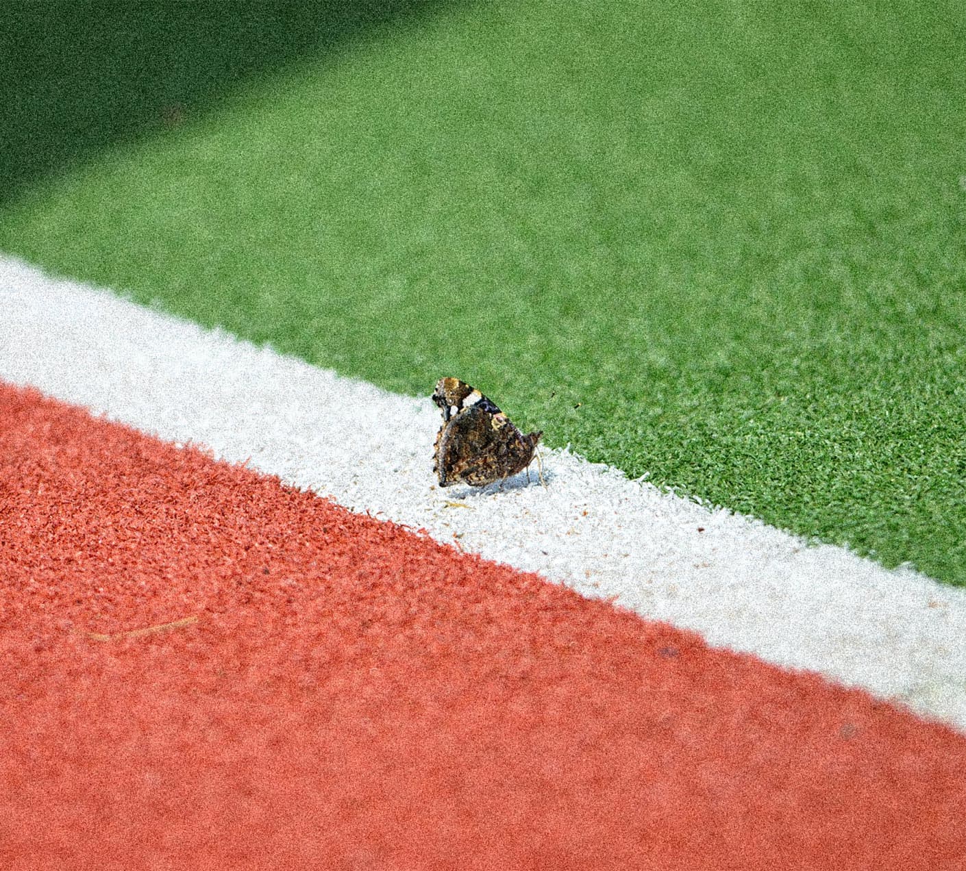 Schlager Shop Project Display